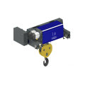 Double Girder Hoist mit Ce Fem Zertifikat